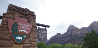 Appeals grow to close US national parks during pandemic