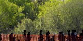 Joe Guzzardi: For immigration expansionists, everything isn’t enough