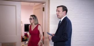 GOP, Dem Senate bargainers divided over gun deal details