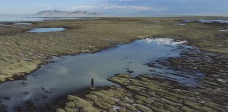 Joe Guzzardi: Population pressures drying up Great Salt Lake