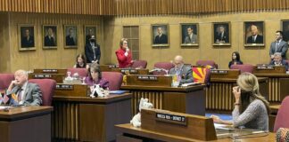 Judge rejects Arizona Sen. Wendy Rogers’ restraining order against reporter