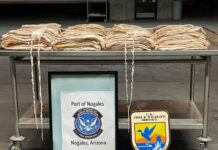 U.S. Customs officers seize $2.7 million worth of endangered fish