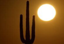 Small earthquake shakes Arizona town; no immediate reports of any injuries or damage